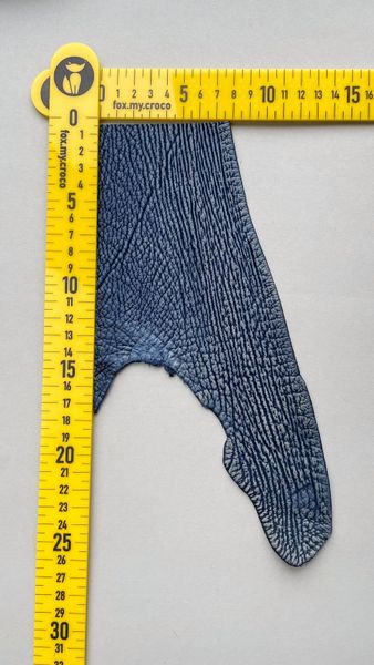 Shark leather piece, blue