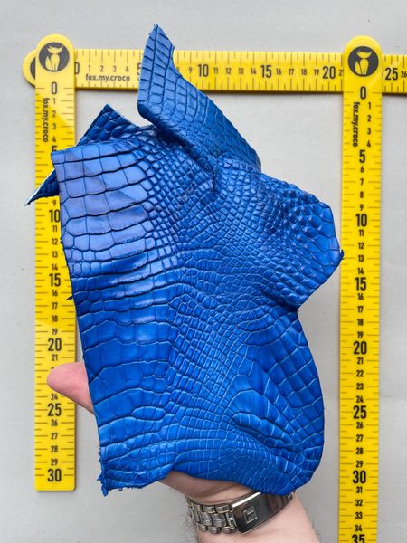 Crocodile leather piece, blue