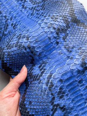 Python skin, blue