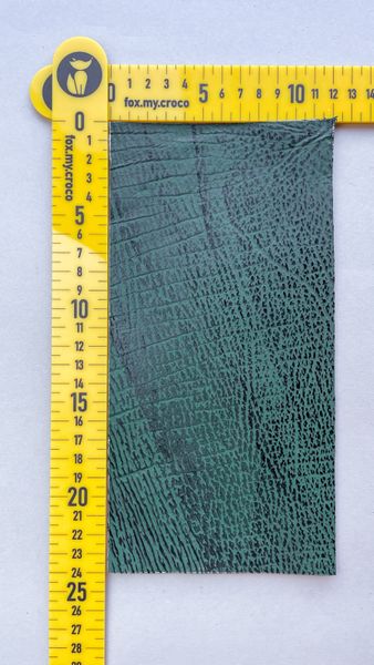 Лоскут шкіри акули, зелений 000002720 фото