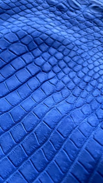 Set of garment Crocodile skins for jacket, nubuk