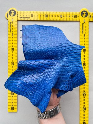Лоскут шкіри крокодила, синій 000002824 фото