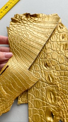 Crocodile leather kit, gold