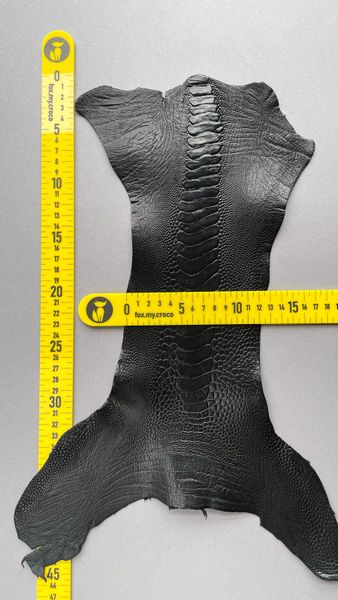 Лапа страуса, чорна 000002094 фото