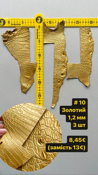 Набір шкіри крокодила, золотий 000002372 фото