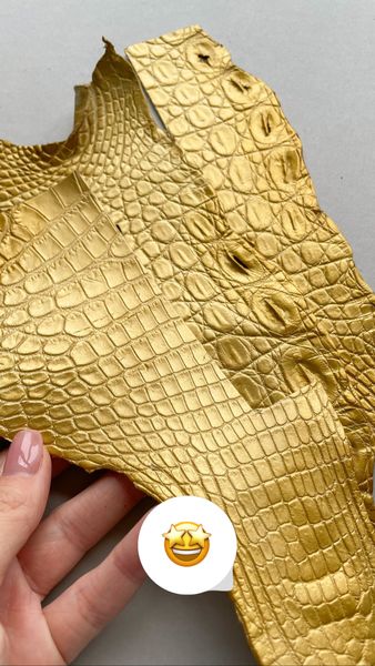 Набір шкіри крокодила, золотий 000002372 фото