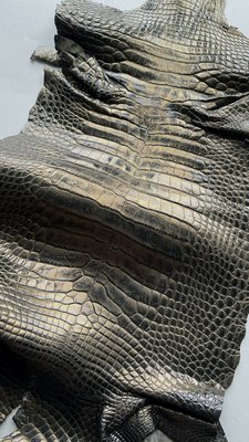 Шкура крокодила, черное золото, 35 см 000004809 фото