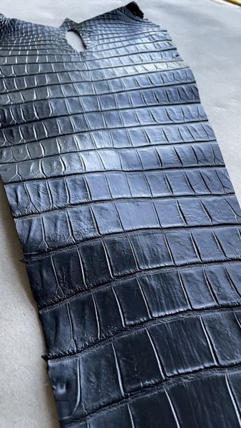 Crocodiles' tail, black color, shade 2