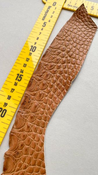 Crocodile leather piece