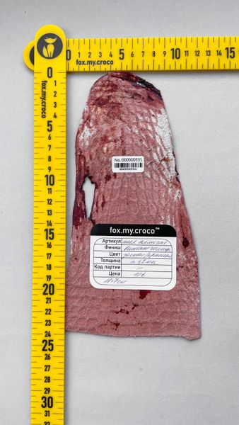 Лоскут шкіри крокодила 000000531 фото