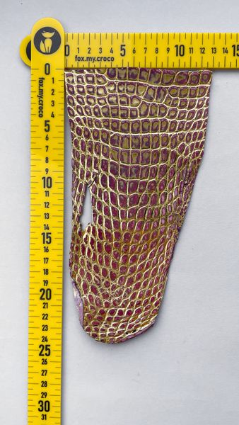 Crocodile leather piece, golden