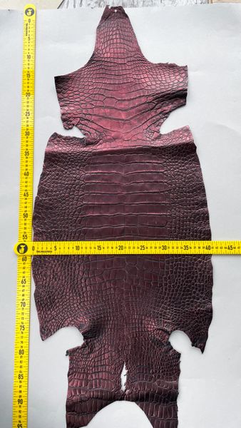 Alligators' Half-skin, cherry 41 cm