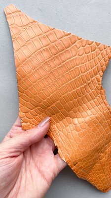 Crocodile leather piece, apricot