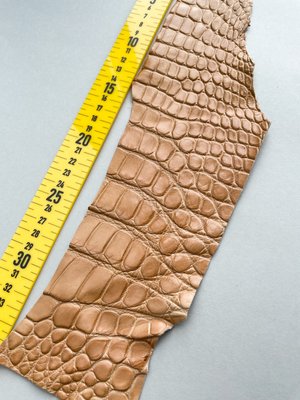 Лоскут шкіри крокодила 000000504 фото