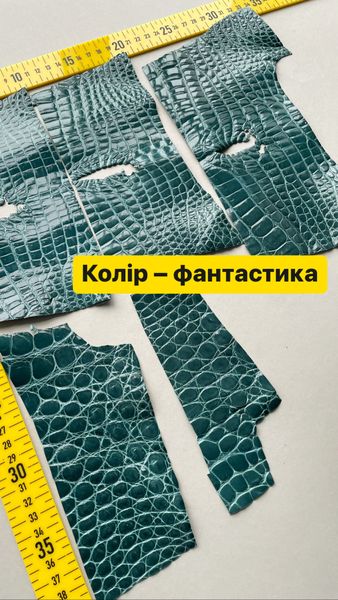 Набір шкіри крокодила 000002384 фото