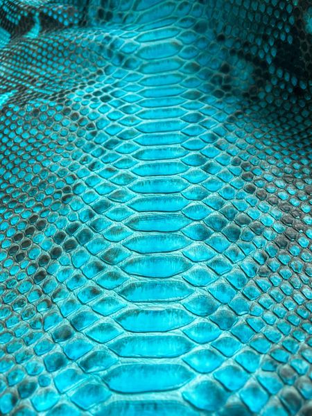 Python skin, turquoise 342 сm (available for cut from 20cm)