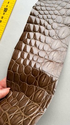 Лоскут шкіри крокодила, коричневий 000000693 фото