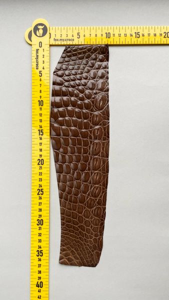 Crocodile leather piece, brown