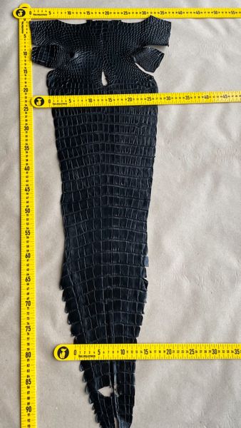 Crocodiles' Half-skin, black color