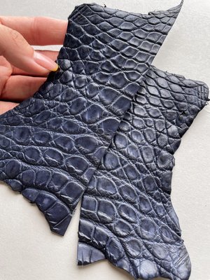 Набір шкіри крокодила, синій 000000593 фото