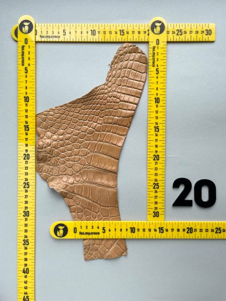 Лоскут шкіри крокодила 000000505 фото