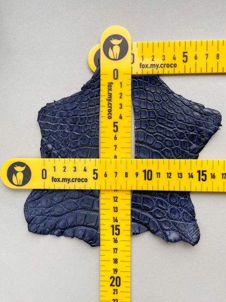 Набір шкіри крокодила, синій 000000593 фото