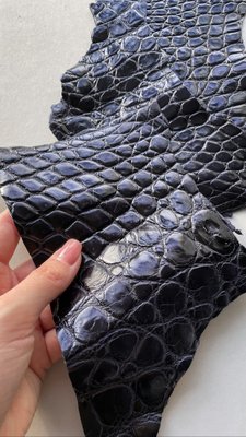 Набір шкіри крокодила, чорнильний 000002386 фото