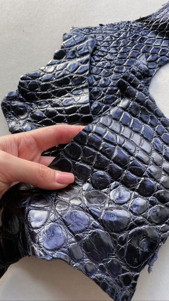 Набір шкіри крокодила, чорнильний 000002386 фото