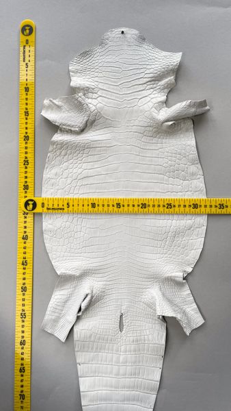 Шкура нильского крокодила белая, 30 см 000000082 фото