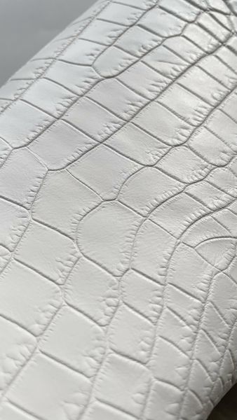 Шкура нильского крокодила белая, 30 см 000000082 фото