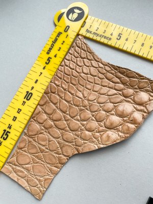 Лоскут шкіри крокодила, кемел 000000507 фото