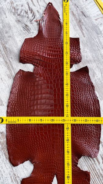 Crocodile skin, terracotta, 42 cm