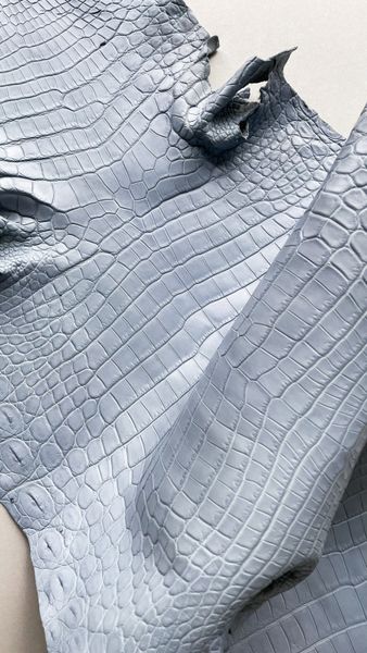 Шкура нільського крокодила небесно-блакитна, 35 см 000000098 фото