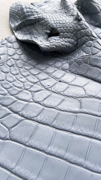 Шкура нільського крокодила небесно-блакитна, 35 см 000000098 фото