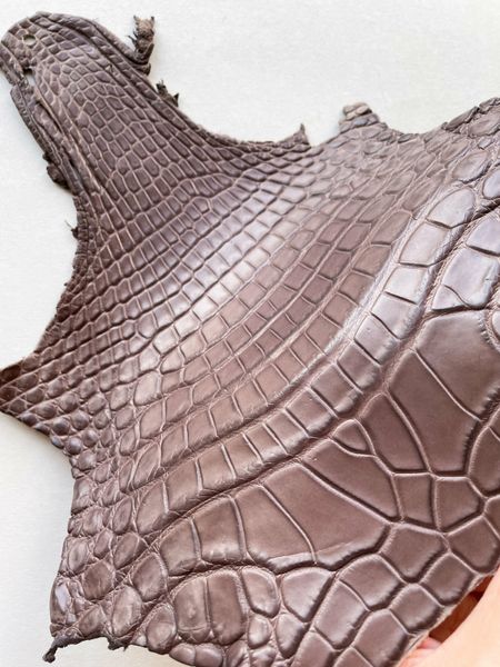 Crocodiles' neck, Mocha color