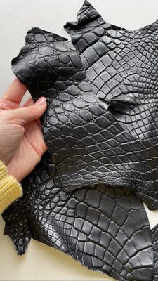 Набір шкіри крокодила 000002388 фото
