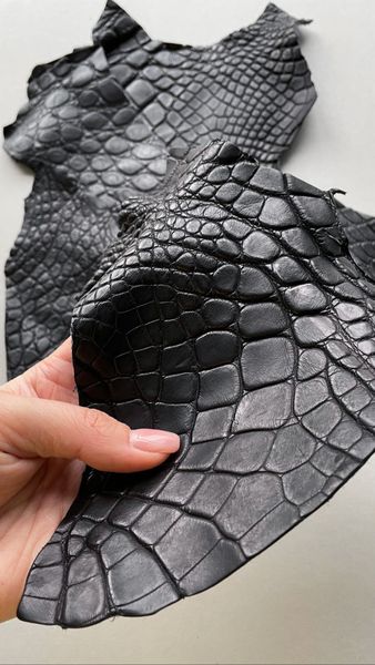Набір шкіри крокодила 000002388 фото