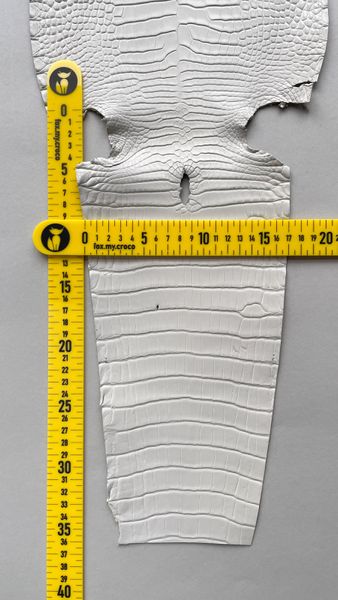 Шкура алігатора слонова кістка, 25 см 000000774 фото