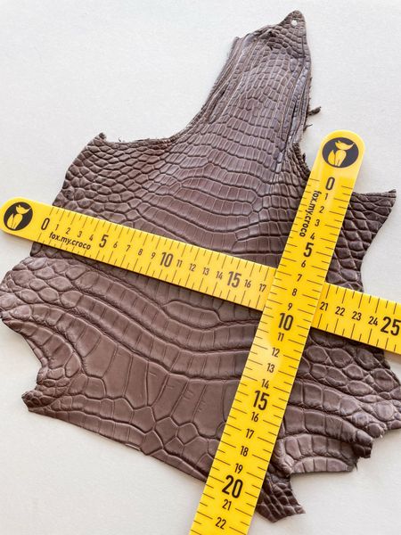 Crocodiles' neck, Mocha color