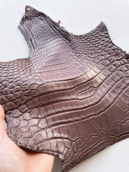 Crocodiles' neck, Mocha color