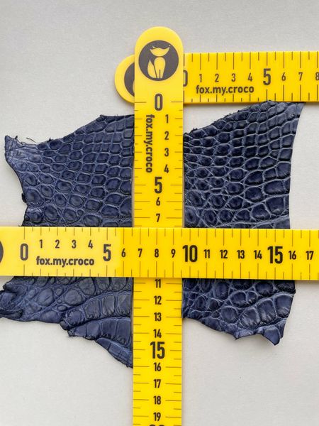 Набір шкіри крокодила, синій 000000595 фото