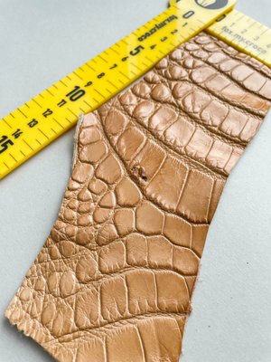 Лоскут шкіри крокодила, кемел 000000509 фото