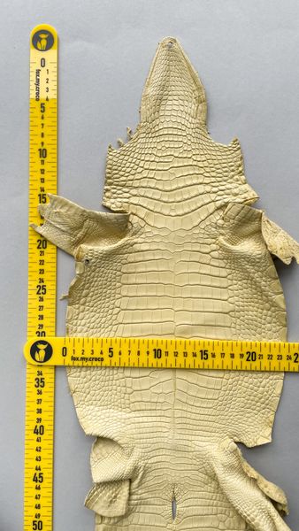 Шкура алігатора ніжно-лимонна, 24 см 000000775 фото
