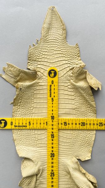 Lemon alligator skin, 24 cm