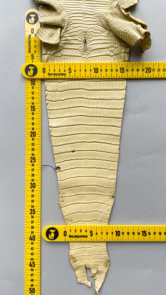 Lemon alligator skin, 24 cm