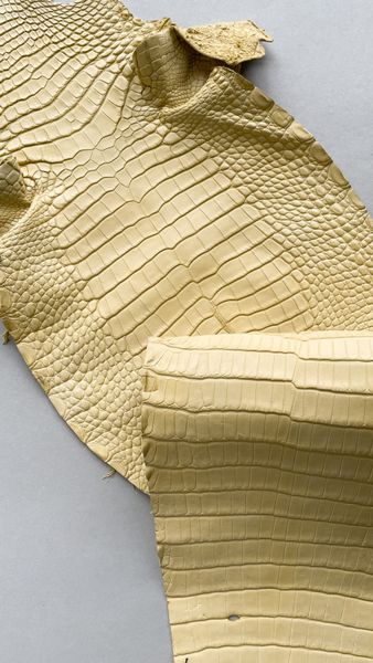 Lemon alligator skin, 24 cm