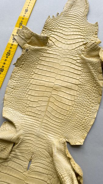 Шкура алігатора ніжно-лимонна, 24 см 000000775 фото