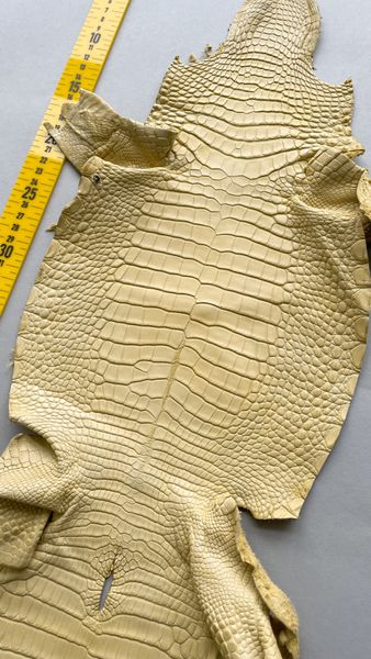 Lemon alligator skin, 24 cm