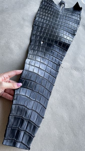 Crocodiles' tail, black color, shade 2