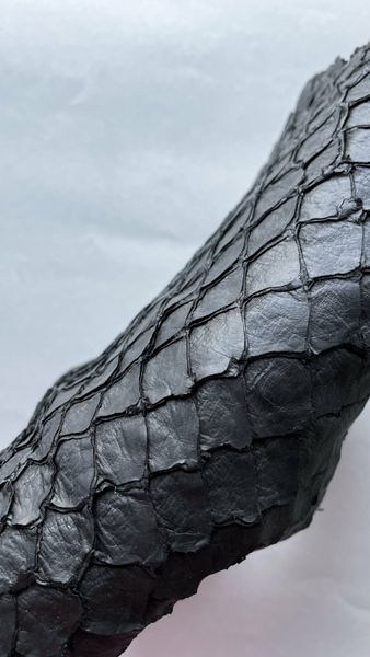 Лоскут піраруку, чорний 000002338 фото